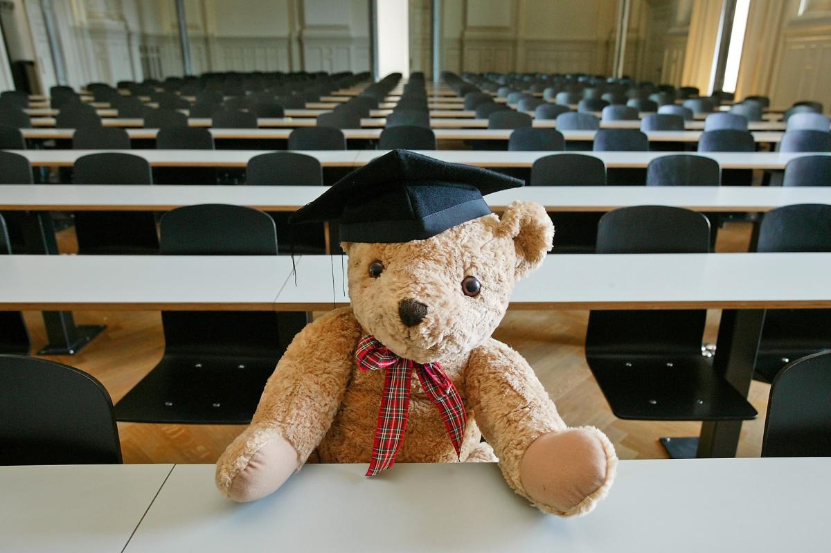 Kinderuni Teddybär sitzt in der Aula Hauptgebäude  © Universität Bern